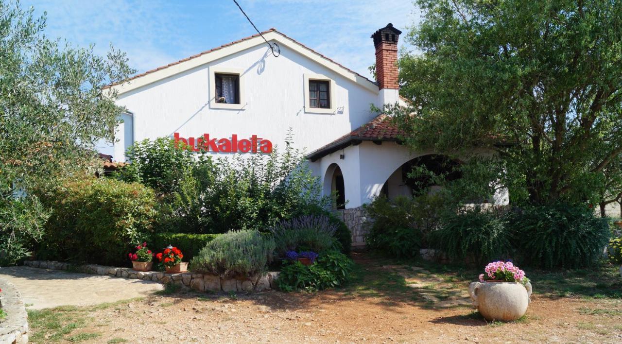 Bed and breakfast Sobe Bukaleta Loznati Extérieur photo